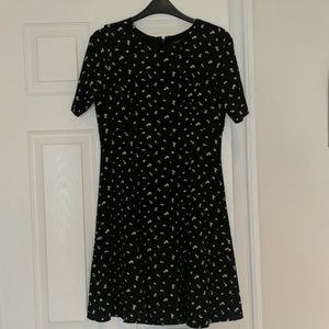 Ann Taylor Dress